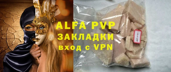 гидра Бердск